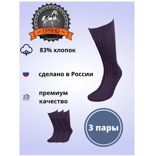 Мужские носки ГРАНД, 3 пары, высокие, бесшовные, износостойкие, усиленная пятка, размер 38/40, синий