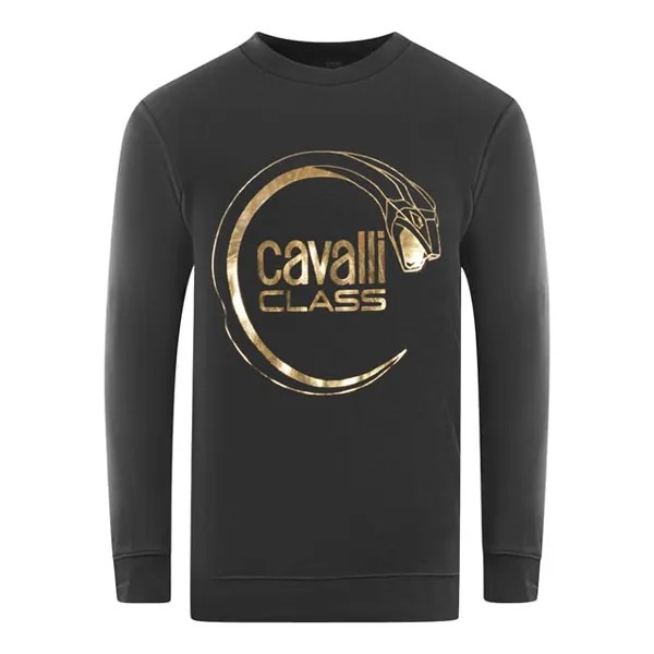 Черная толстовка с логотипом Piercing Snake Cavalli Class, черный