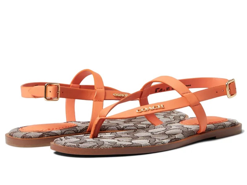 Сандалии COACH, Josie Leather Sandal