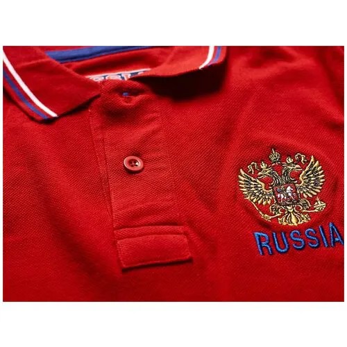 Поло ATRIBUTIKA & CLUB Россия 153420(L)