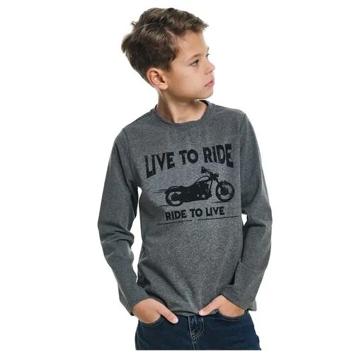Лонгслив для мальчиков Mini Maxi, модель 7706, цвет меланж/серый/черный, размер 146