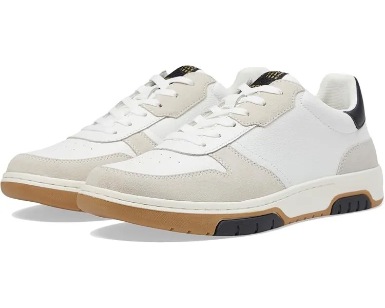Кроссовки Steve Madden Maxtonn, цвет White Ecru