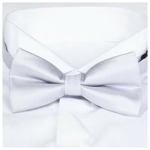 Галстук-бабочка Roberto Cassini BSE-55-1293