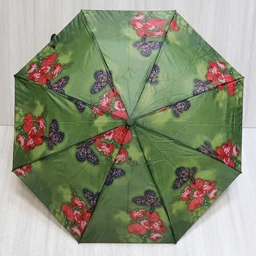 Смарт-зонт Crystel Eden, красный, зеленый