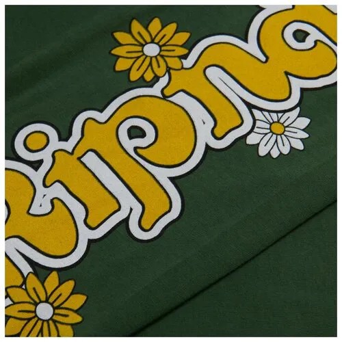 Мужской лонгслив Ripndip Caterpillar Garden зелёный, Размер S