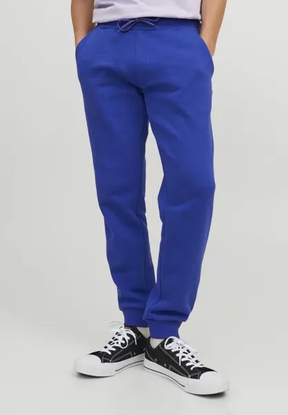 Брюки спортивные GORDON WEICH Jack & Jones, воронение