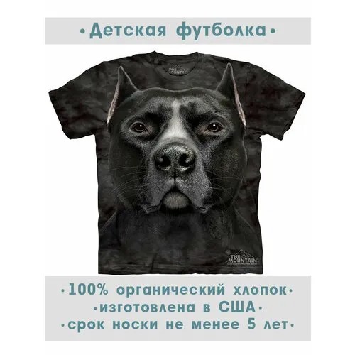 Футболка The Mountain, размер S-Y, черный