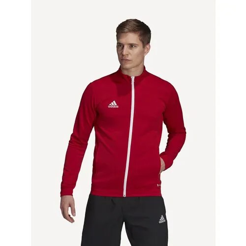 Олимпийка adidas Entrada 22, размер 2XLT, красный