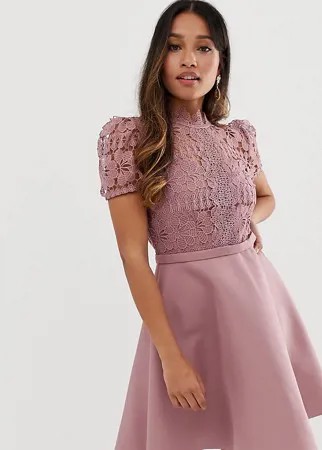 Розовое платье мини для выпускного с кружевным лифом Little Mistress Petite-Розовый
