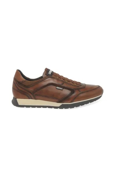 Кроссовки 'Cambell' Trainers Pikolinos, коричневый