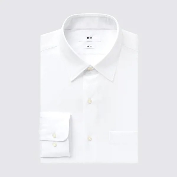 Рубашка UNIQLO Easy Care Broad SSF с длинным рукавом, обычный цвет