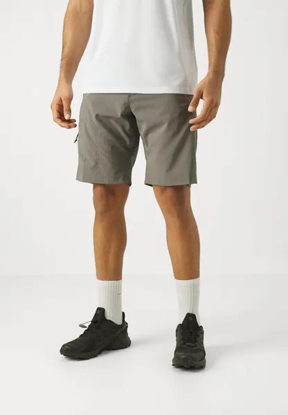 Спортивные шорты Silver Ridge Utility Columbia, цвет city grey