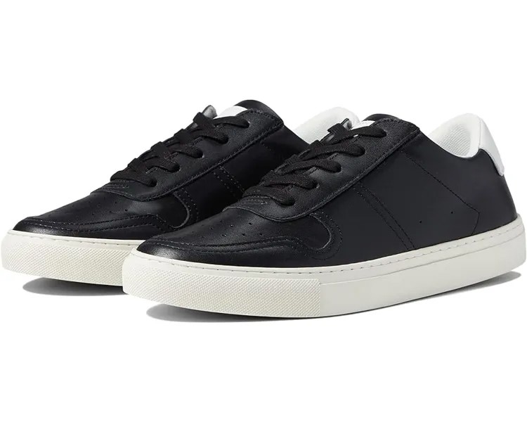 Кроссовки Steve Madden Taysom, черная кожа