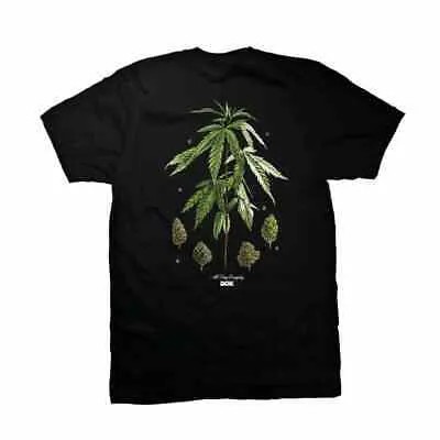 Футболка с короткими рукавами DGK Dirty Ghetto Kids Botanical Society (черная)