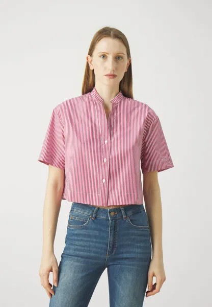 Блузка на пуговицах MADRE MAX&Co., розовый