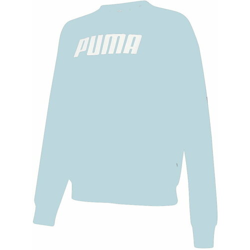 Свитшот PUMA, размер L, голубой
