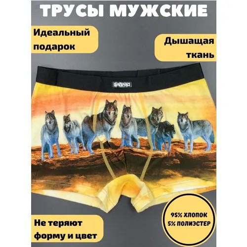 Трусы боксеры Shumiloff, средняя посадка, размер 44-46, желтый