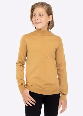 Коричневая базовая водолазка для мальчика Gloria Jeans