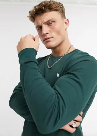 Зеленый лонгслив с круглым вырезом и логотипом Abercrombie & Fitch