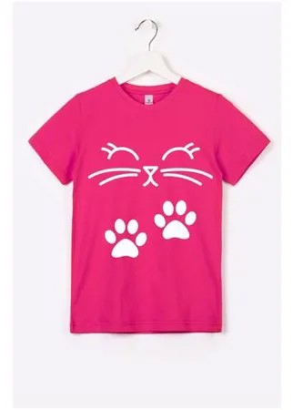 HF66031D HappyFox 