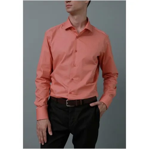 Рубашка Allan Neumann, размер 40 176-182, оранжевый