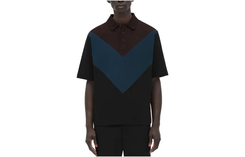 Рубашка поло мужская многоцветная Bottega Veneta, цвет Multicolor