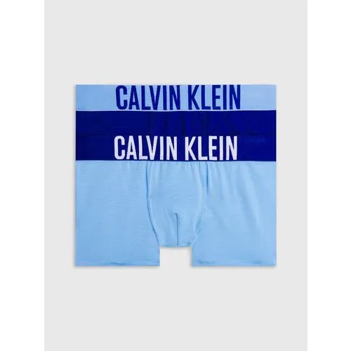 Трусы  CALVIN KLEIN, 2 шт., размер 14-16 лет, синий, голубой