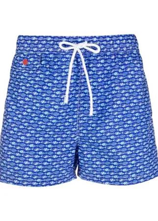 Kiton плавки-шорты с принтом