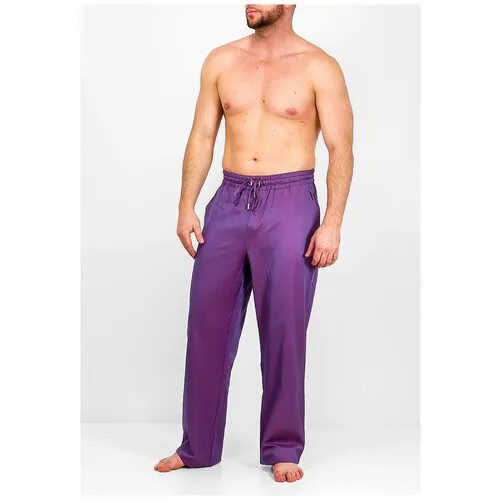 Брюки GREG, карманы, размер 50, фиолетовый