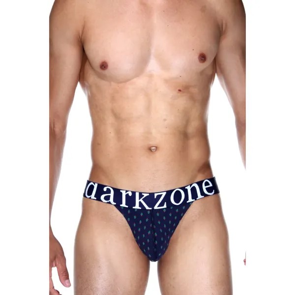 Трусы мужские DARKZONE DZN6172 синие L