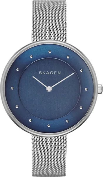 Наручные часы Skagen SKW2293