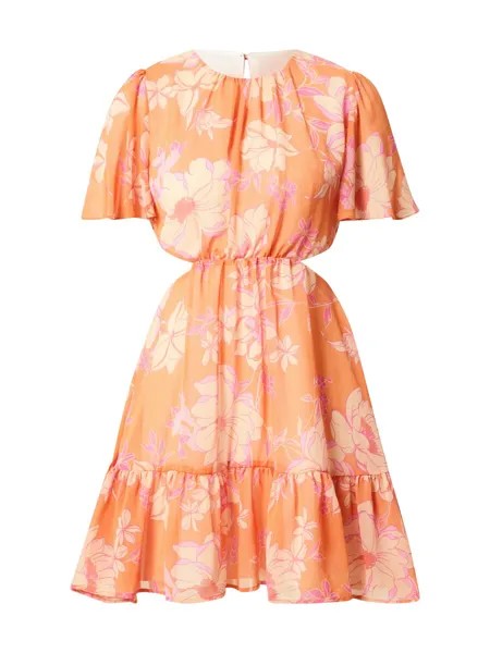 Летнее платье Dorothy Perkins, оранжевый
