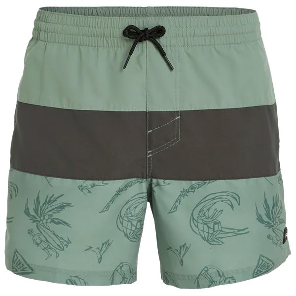 Плавки O'Neill Mix & Match Cali Block 15'' Swim Shorts, цвет Green Vintage Surfer