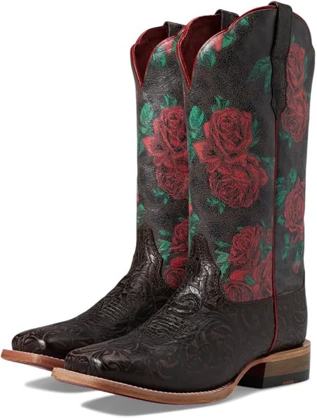 Ковбойские сапоги Frontier Farrah Western Boot Ariat, цвет Chocolate Floral Embossed