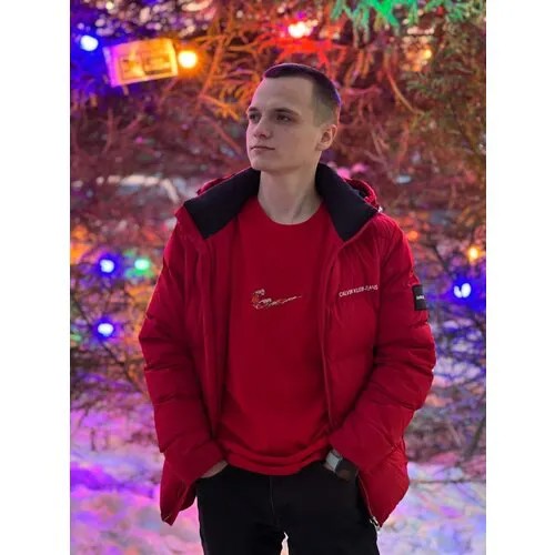 Футболка , размер L, красный, синий