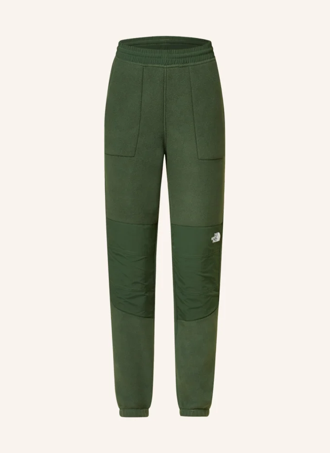 Денали флисовые брюки The North Face, зеленый