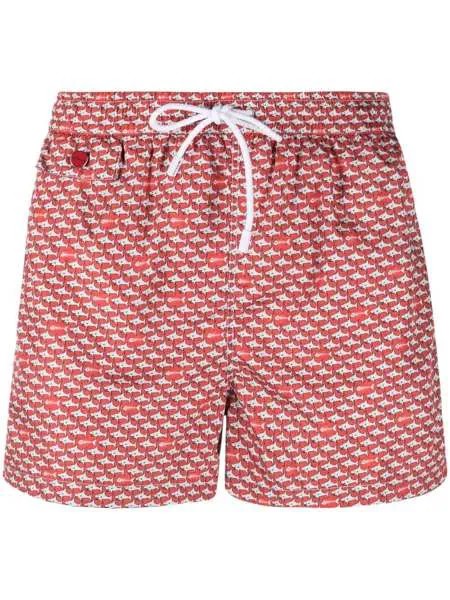 Kiton плавки-шорты с кулиской и графичным принтом
