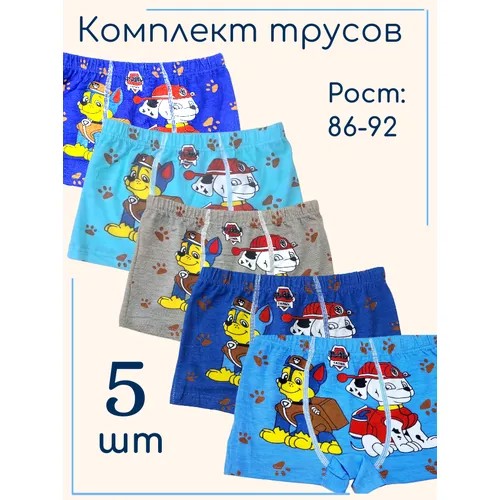 Трусы , 5 шт., размер S, синий, серый