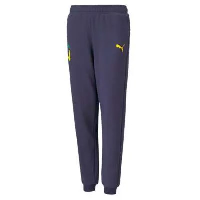 Спортивные штаны Puma Neymar Jr Hero для мальчиков, размер XL, повседневная одежда, 605547-06