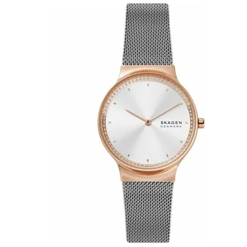 Наручные часы Skagen SKW3017