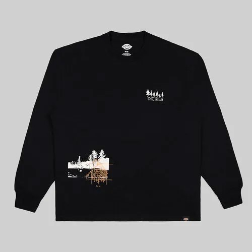 Лонгслив Dickies, размер XL, , чёрный