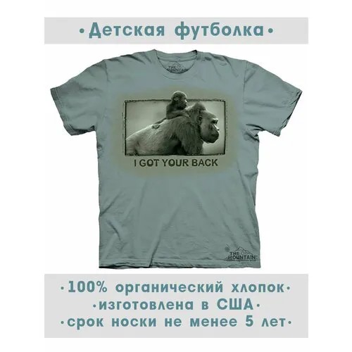 Футболка The Mountain, размер L-Y, серый
