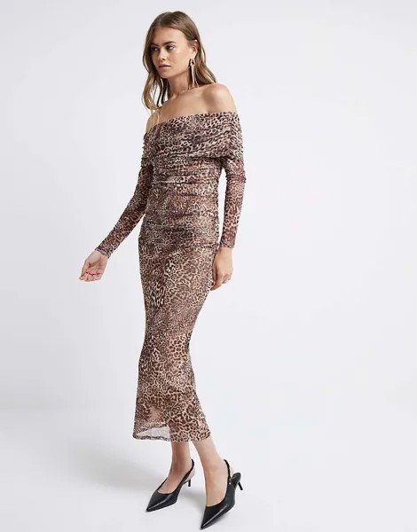 Коричневое платье миди с леопардовым принтом и бардо River Island - светлое