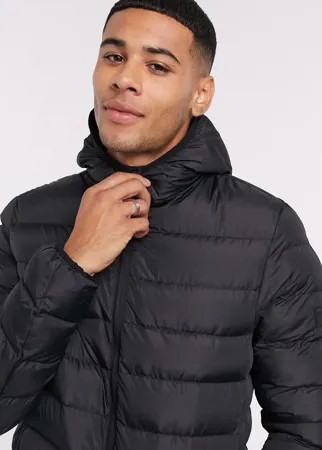 Черная дутая куртка с капюшоном French Connection-Черный