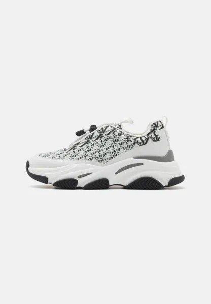 Низкие кроссовки Paco Steve Madden, цвет white/black