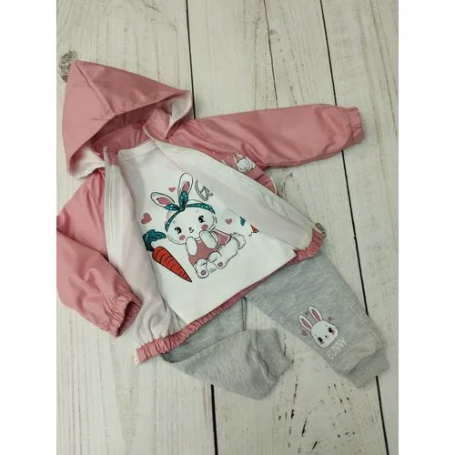 Комплект одежды   для девочек, куртка и брюки и лонгслив, повседневный стиль, капюшон, карманы, размер 74, розовый