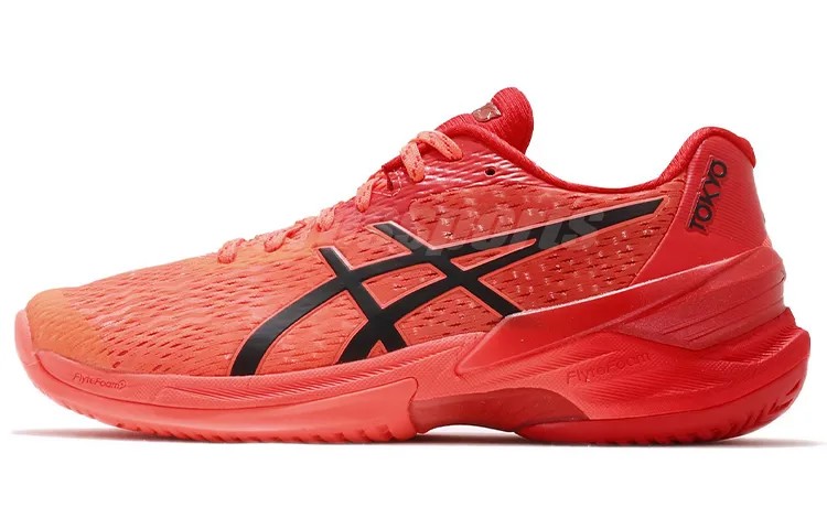 Мужские тренировочные кроссовки Asics Sky Elite FF