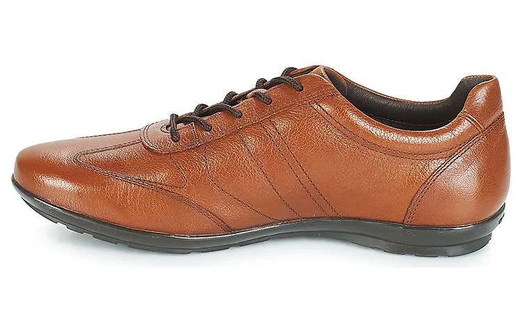 Кроссовки GEOX Lifestyle Shoes Men Low-top Brown, коричневый