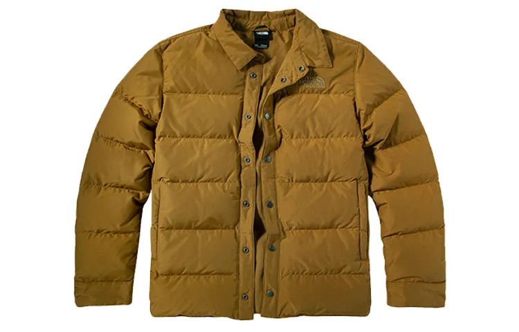 THE NORTH FACE Мужской пуховик, цвет Brown