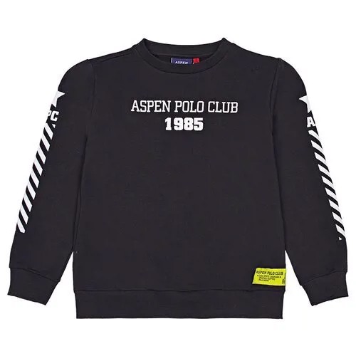 Свитшот для мальчика Aspen Polo Club 1031F0668 цвет черный 12 лет